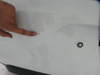 Renault Clio  picture 6