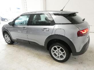 Citroën C4 cactus CACTUS picture 4