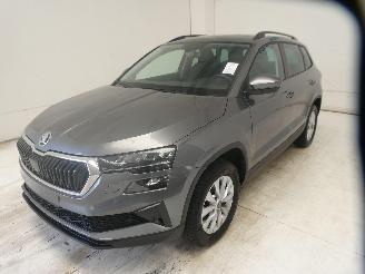 Skoda Karoq SELECTION picture 3