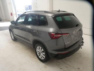 Skoda Karoq SELECTION picture 4