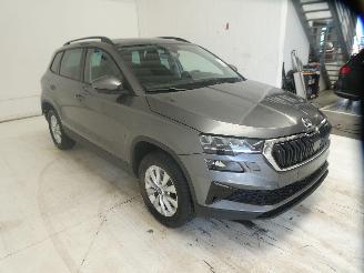 Skoda Karoq SELECTION picture 15