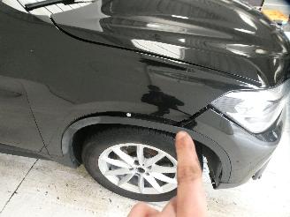 BMW X1 SDRIVE picture 10