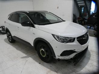 Opel Grandland X INNOVATI picture 9