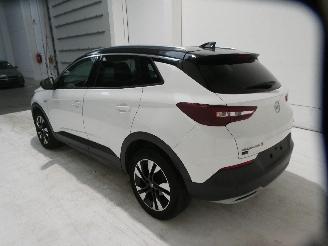 Opel Grandland X INNOVATI picture 5