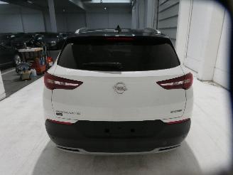 Opel Grandland X INNOVATI picture 6