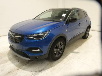 Opel Grandland Z picture 3