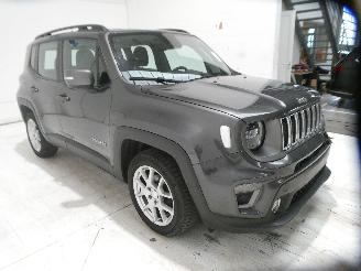 Jeep Renegade LIMITED picture 11