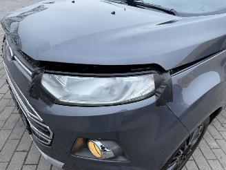 Ford EcoSport 1.0 picture 15