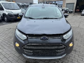 Ford EcoSport 1.0 picture 2