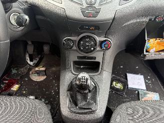 Ford Fiesta  picture 21