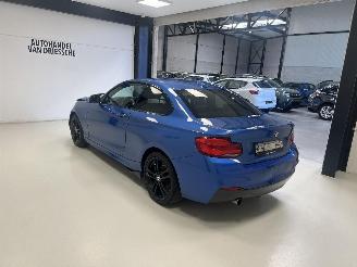 BMW 2-serie M-PACK picture 5