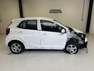 Kia Picanto  picture 3