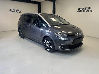 Schadeauto Citroën C4 7 PLACE/ AUTOMAAT 2021/6
