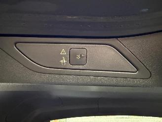 Citroën C4-picasso PICASSO II picture 33