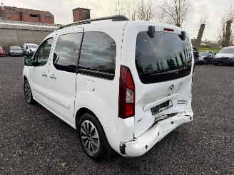 Citroën Berlingo 1.6 HDI picture 12