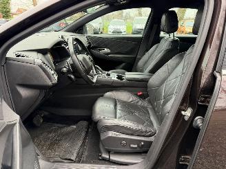 DS Automobiles DS 7 Crossback CROSSBACK SO CHI picture 21