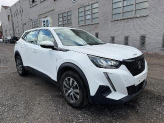 Peugeot 2008 II ACTIVE picture 2