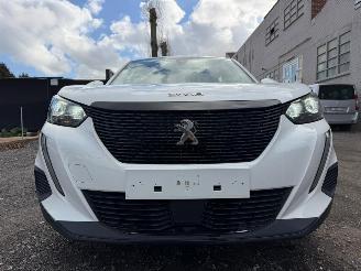 Peugeot 2008 II ACTIVE picture 4