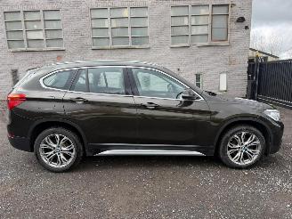 BMW X1 SDRIVE18I picture 1
