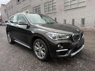 BMW X1 SDRIVE18I picture 2