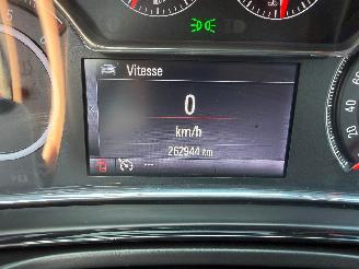 Opel Insignia COSMO picture 29