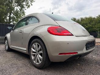 Volkswagen Beetle DESIGN picture 11
