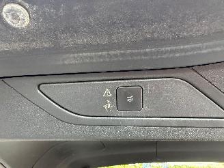 Citroën C4-picasso PICASSO II picture 19