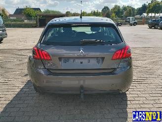 Peugeot 308  picture 5