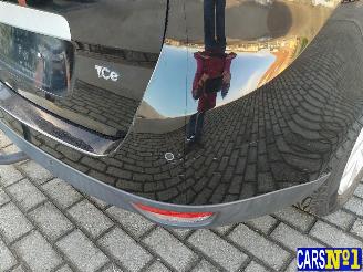 Renault Grand-scenic SCENIC picture 12