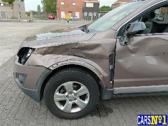 Opel Antara  picture 10