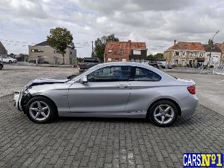 BMW 2-serie  picture 10