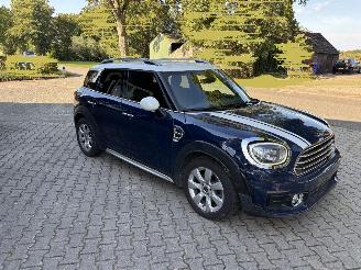Mini Countryman COOPER 1.5 NAVI CLIMA CAMERA LED KEYLESS LED B.J 07-2019 picture 9
