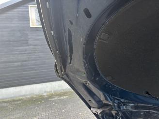 Skoda Octavia AUTOMAAT HYBRIDE NAVI CLIMA VIRT DASH CAMERA TREKHAAK LED B.J 12-2024 picture 23