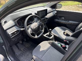 Dacia Sandero STEPWAY 110 PK EXTREEM NAVI CLIMA CAMERA LED B.J 2024 FACELIFT picture 9