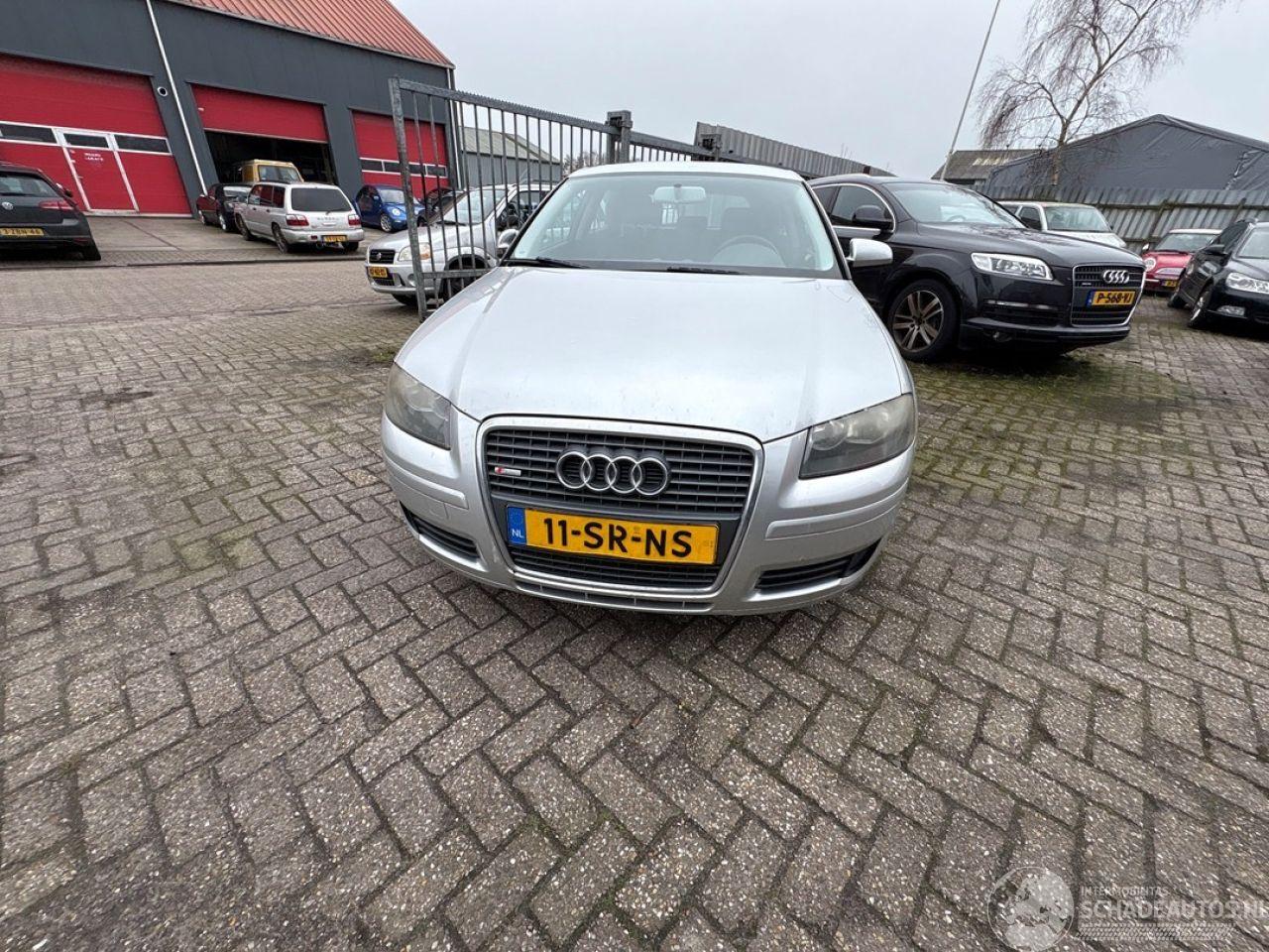 Audi A3 1.6 Hatchback 2Dr Benzine 1.595cc 75kW (102pk) FWD 2005-06/2012-09 (8P1) BSE