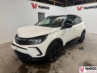 Opel Grandland X picture 1