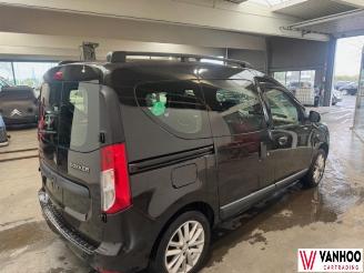 Dacia Dokker  picture 7