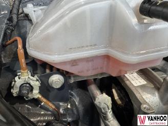 Volkswagen Polo  picture 10