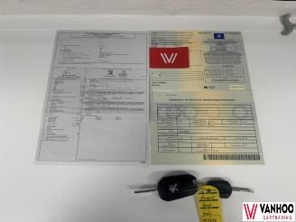 Peugeot 2008  picture 20