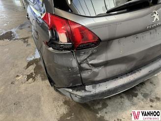 Peugeot 2008  picture 9