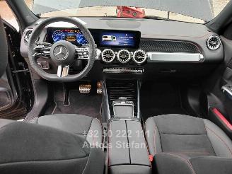 Mercedes EQB 250 + picture 11