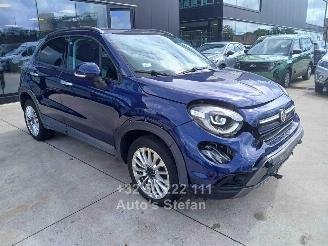 Fiat 500 X picture 1