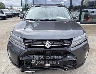 Suzuki Vitara  picture 2