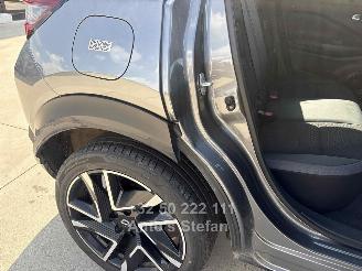 Nissan Juke  picture 31