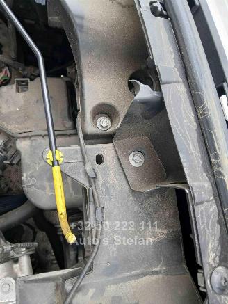 Citroën Berlingo  picture 22