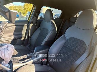 Nissan Juke N-DESIGN picture 13
