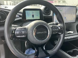 BYD Dolphin DOLPHIN BEV 65kWh Design picture 19