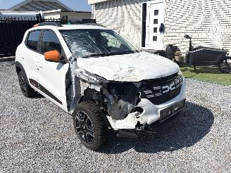Dacia Spring EXTREME  KLIMA-LEDER-NAVI picture 8