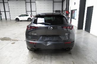 Mazda CX-30 SUV picture 4