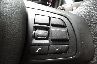 BMW X1 SUV picture 29